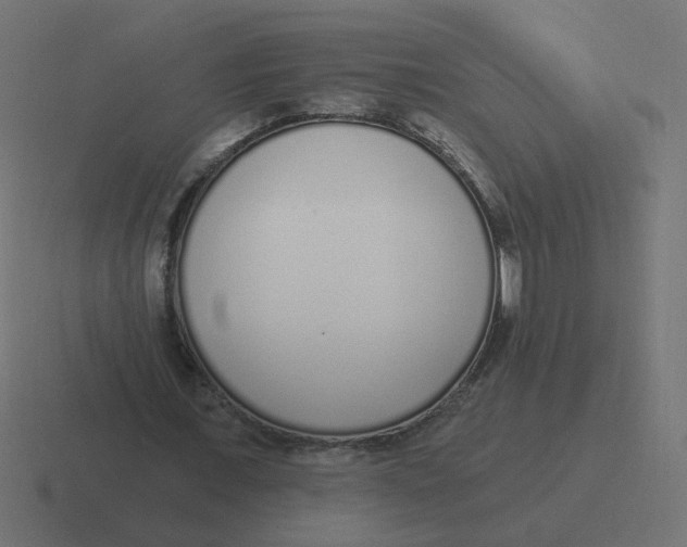 X0000116430675200912291909
