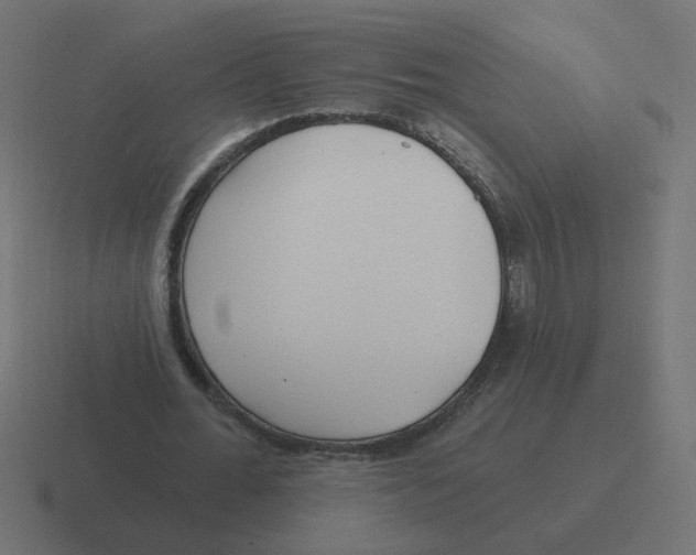 X0000116430676200912291909