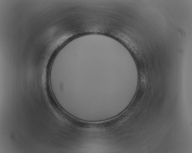 X0000116430678200912291909