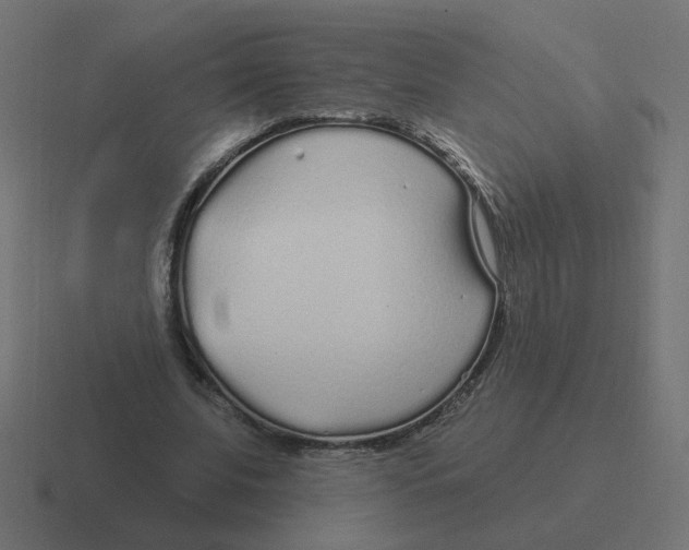 X0000116430679200912291909
