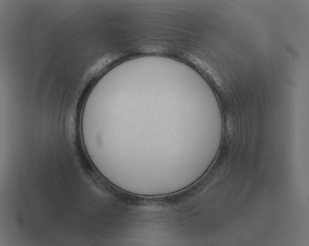 X0000116430682200912291908