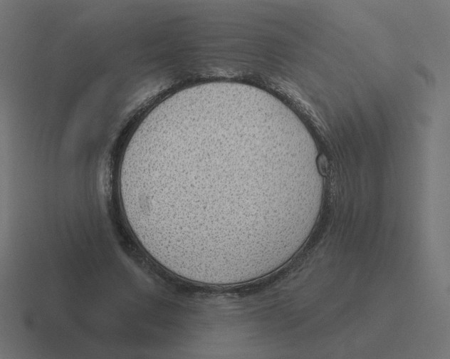 X0000116430683200912291908