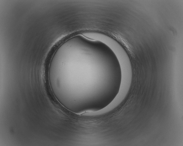 X0000116430684200912291908
