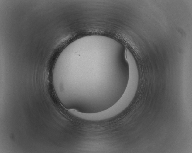 X0000116430692200912291908