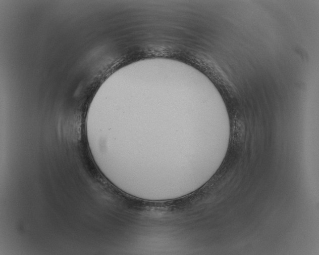 X0000116430694200912291908
