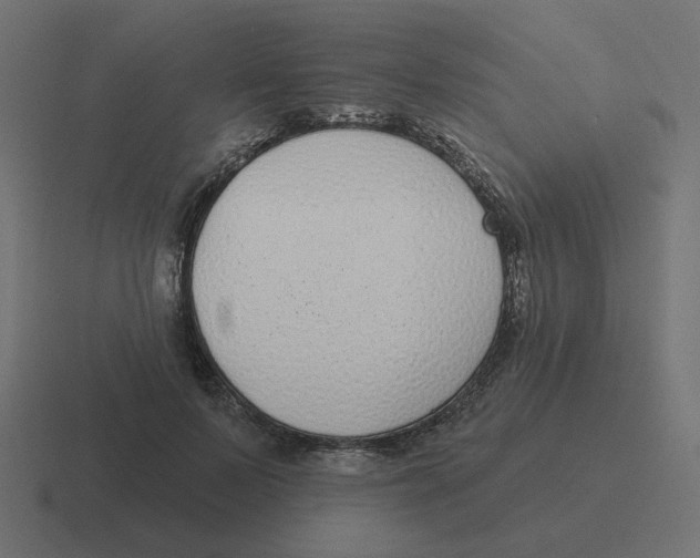 X0000116430695200912291908