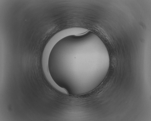 X0000116430697200912291908