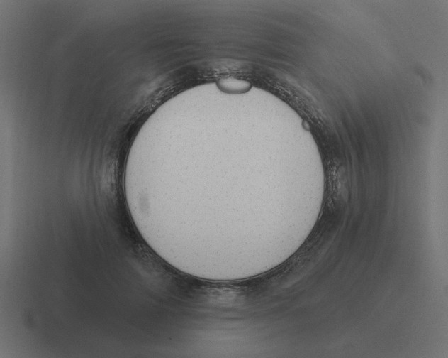 X0000116430698200912291908