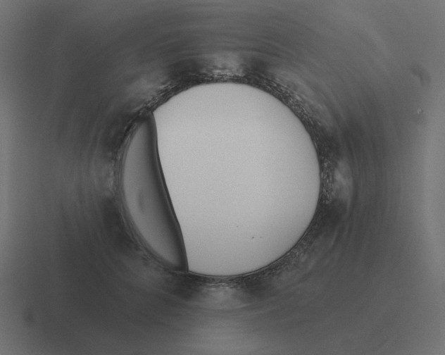 X0000116430704200912291908