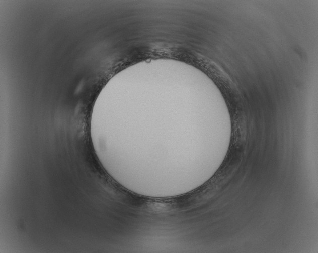 X0000116430706200912291908