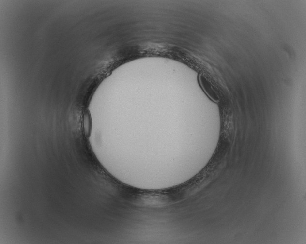 X0000116430708200912291908