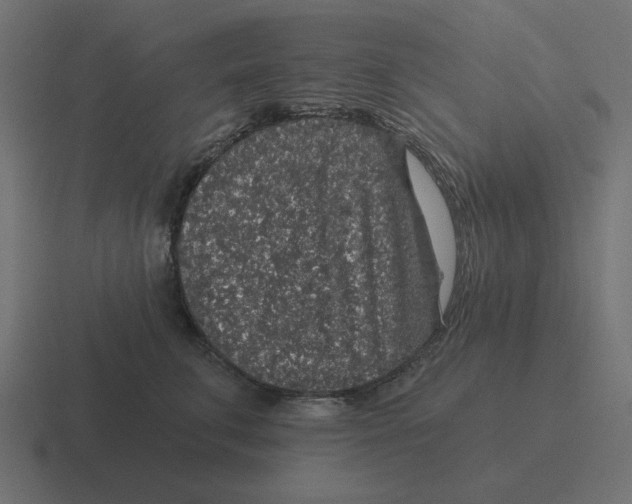 X0000116430711200912291908