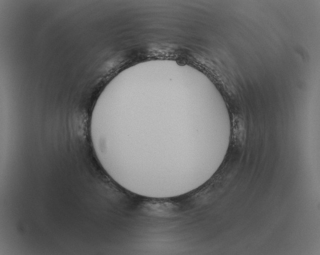 X0000116430712200912291908