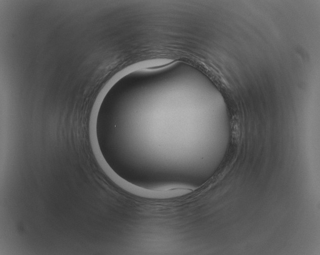 X0000116430713200912291908