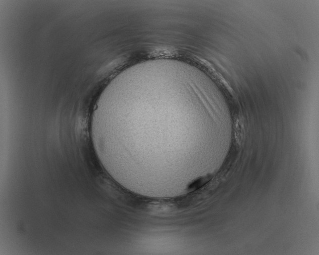 X0000116430714200912291908