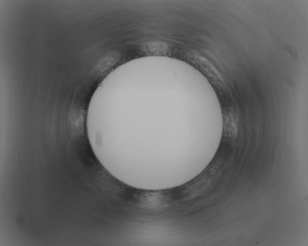 X0000116430717200912291908