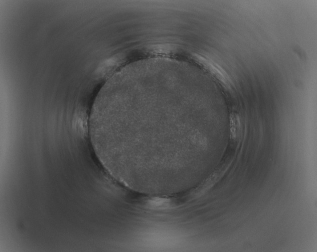 X0000116430718200912291908