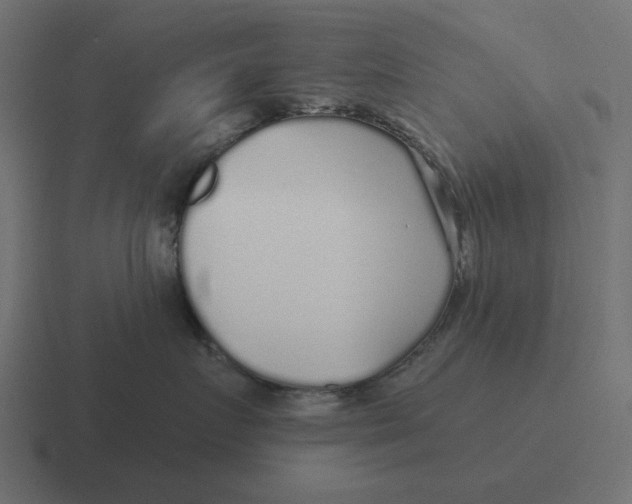X0000116430719200912291908
