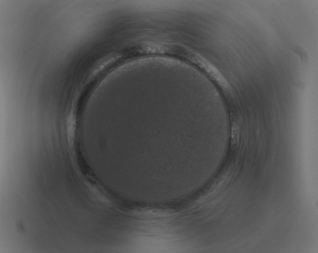 X0000116430722200912291907