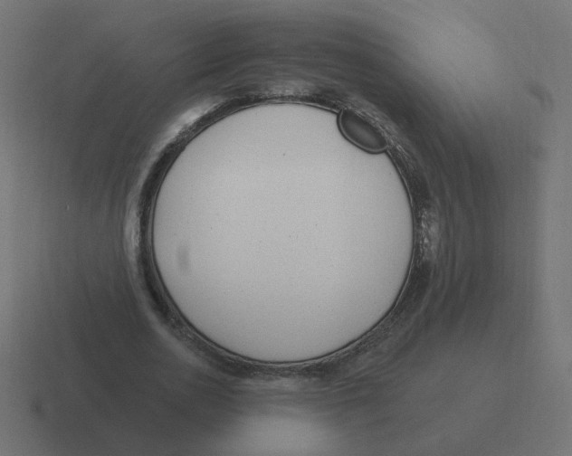 X0000116430726200912291907