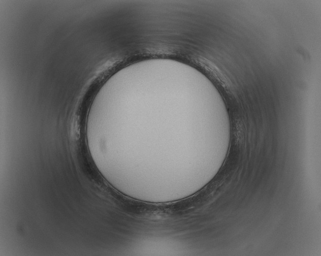 X0000116430731200912291908