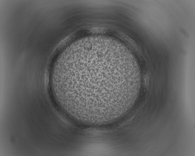 X0000116430733200912291908