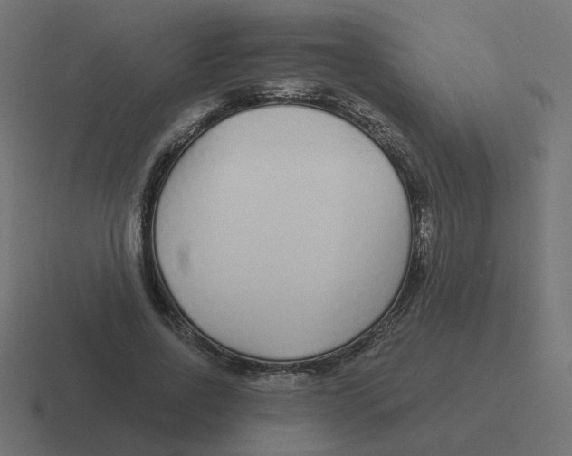 X0000116430734200912291908