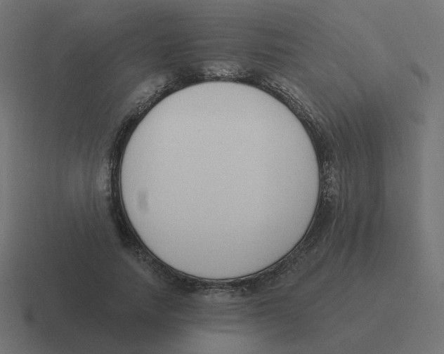 X0000116430738200912291908