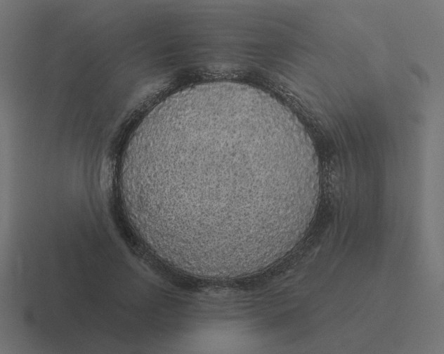 X0000116430742200912291908