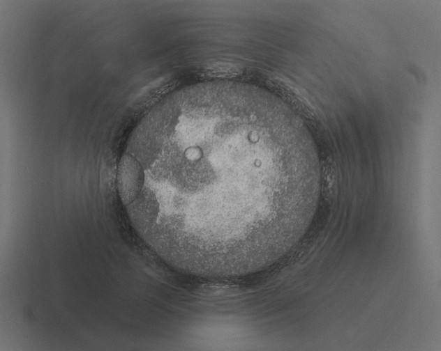 X0000116430745200912291908