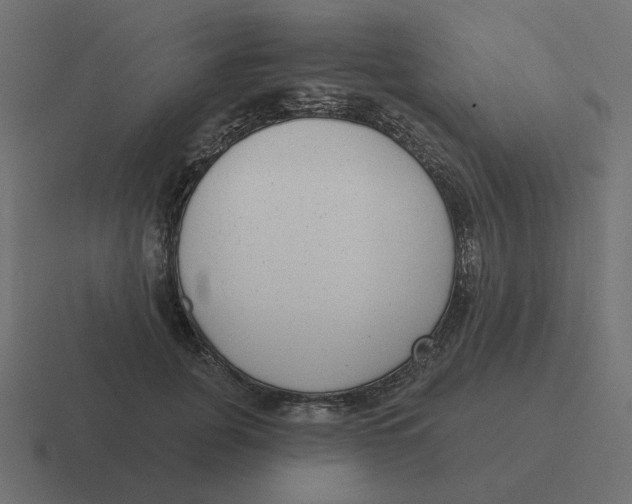 X0000116430751200912291908