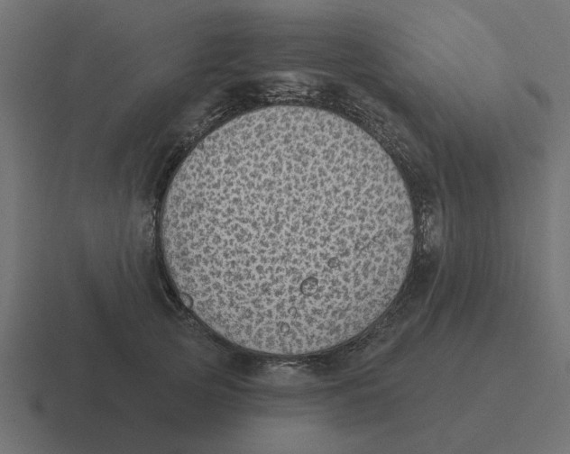 X0000116430753200912291908