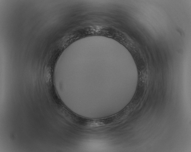 X0000116430754200912291908