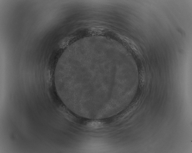X0000116430759200912291908
