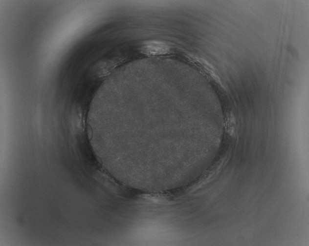 X0000116430763200912291908