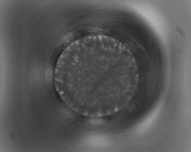 X0000116430767200912291908