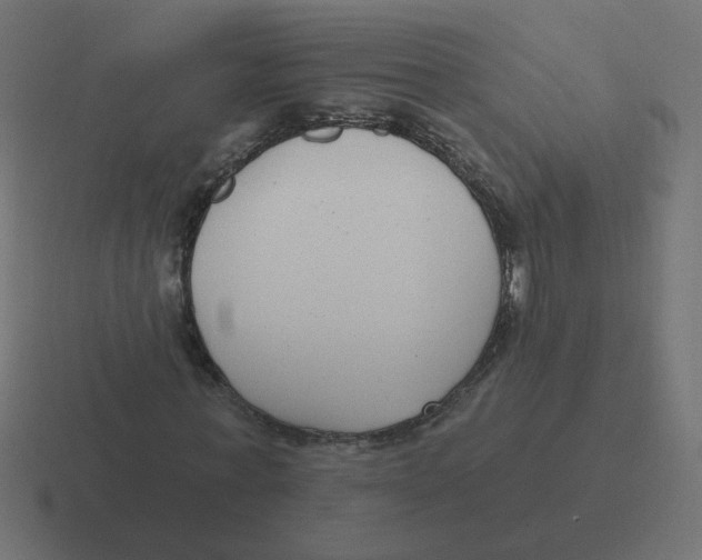 X0000116430771200912291907