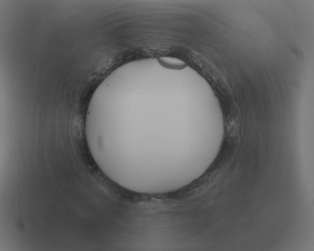 X0000116430772200912291907