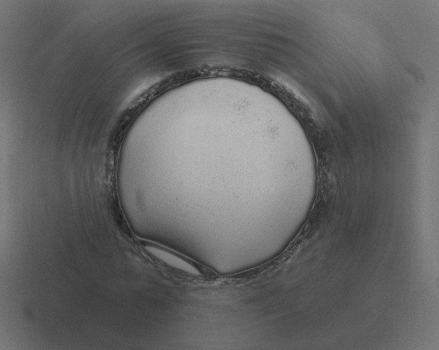 X0000116430775200912291907