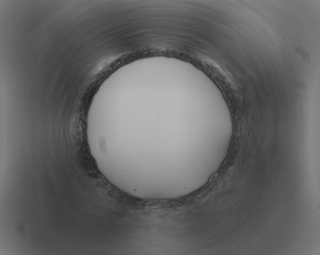 X0000116430776200912291907