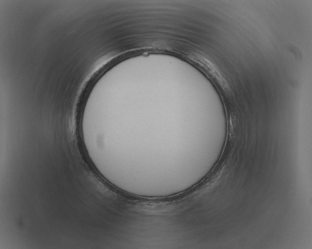 X0000116430780200912291907