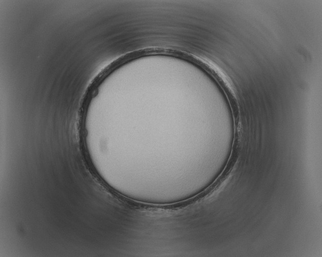 X0000116430783200912291907