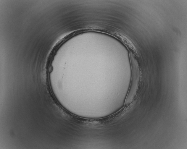 X0000116430784200912291907