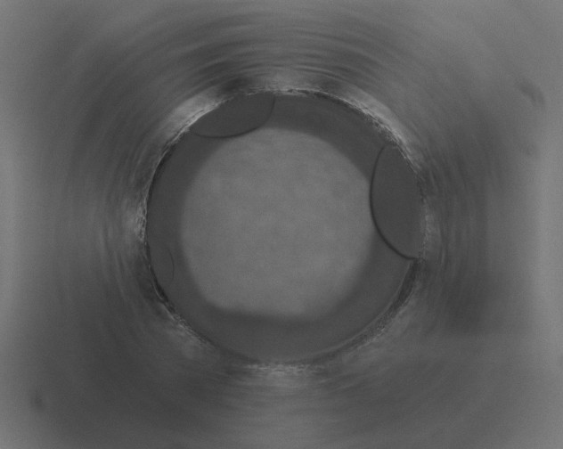 X0000116430785200912291907