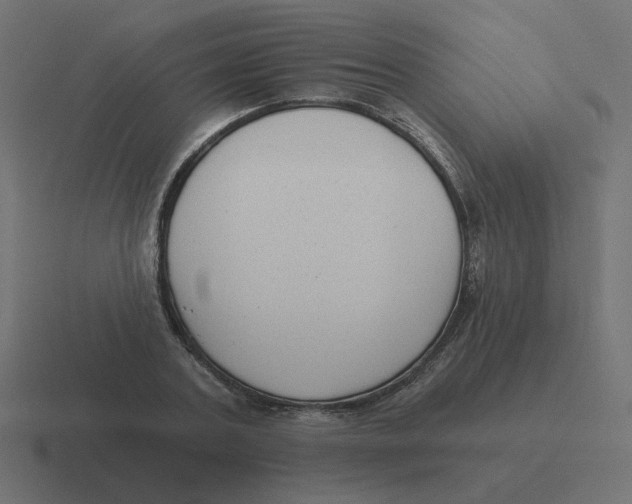 X0000116430787200912291907