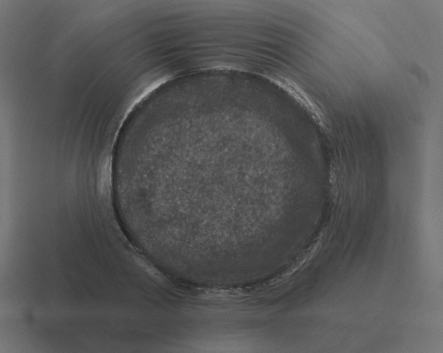 X0000116430790200912291907