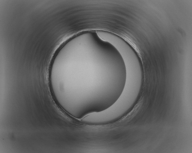 X0000116430797200912291907