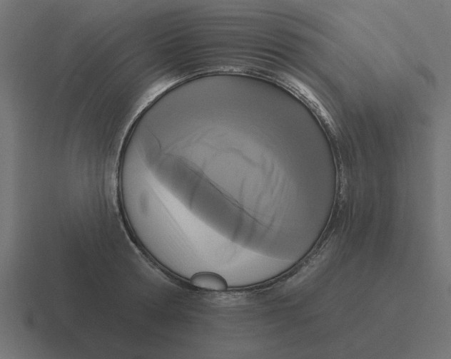 X0000116430802200912291907