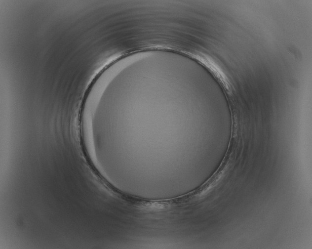 X0000116430806200912291907