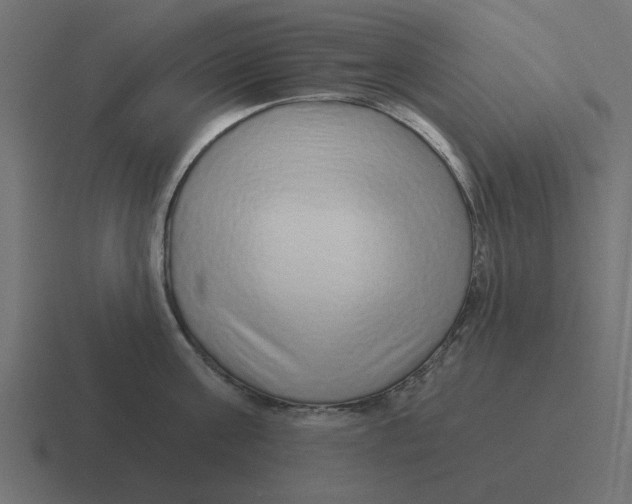 X0000116430811200912291907